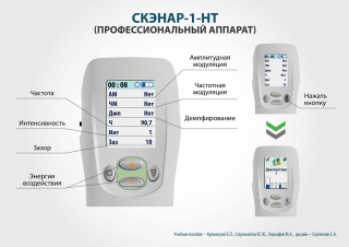 СКЭНАР-1-НТ (исполнение 01)  в Усть-лабинске купить Медицинская техника - denasosteo.ru 